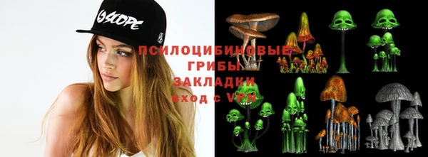 прущие крисы Алзамай